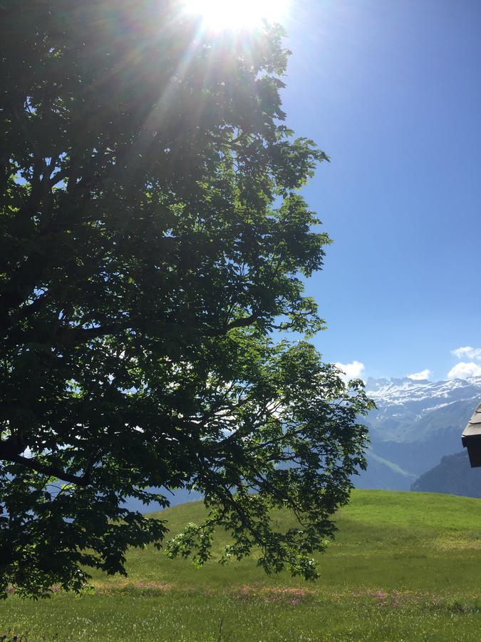 Hotel & Restaurant Stadthof Glarus Exterior photo
